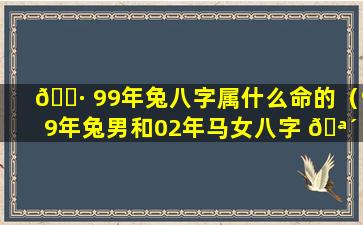 🌷 99年兔八字属什么命的（99年兔男和02年马女八字 🪴 合吗）